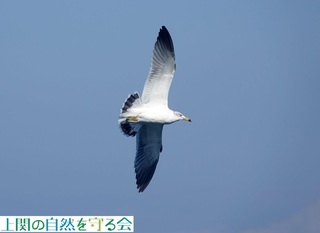 241104щE~lR.jpg