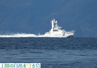 241112Cۂ̏Ȃ.jpg