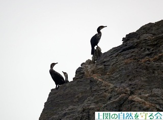 241220E~E.jpg