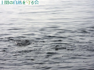 241220n}`̃iu.jpg