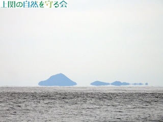 241220Puv.jpg