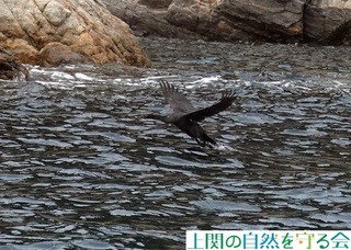 241220D̐ڋ߂ɋĔїqEP.jpg