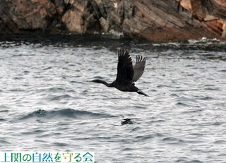 241220D̐ڋ߂ɋĔїqEQ.jpg