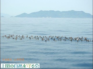 AJGqAVVMQ220526-1.jpg