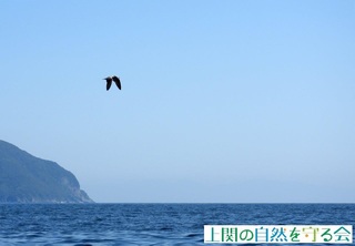E~lRc211003.jpg