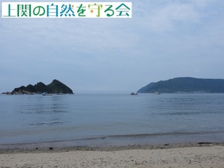 Oi20210630cmY.JPG