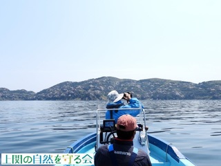 長島のヤマザクラを撮影220407.jpg